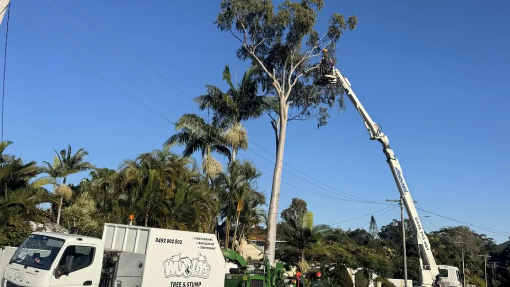 Tree Pruning